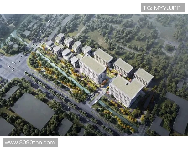 上海篮球队杯赛表现分析展现实力与团队协作的完美结合