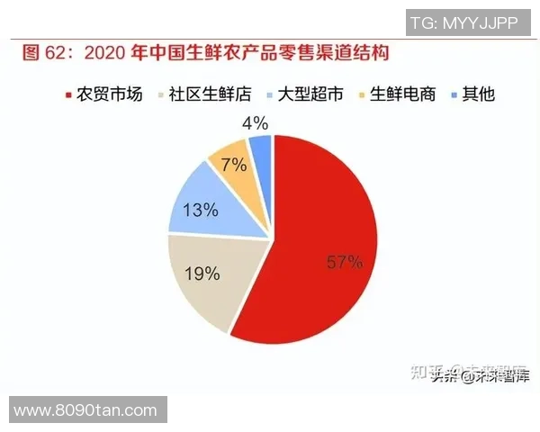 西安网球队运营全景解析：深度探讨其成功背后的策略与挑战