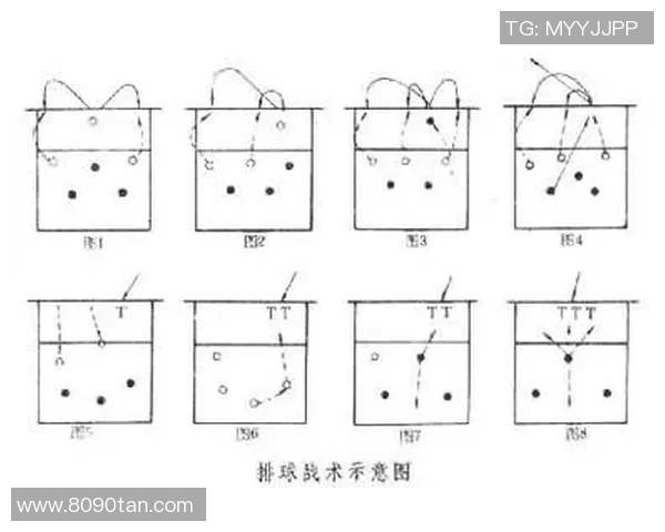 重庆排球队的战术掌控与发展趋势深度分析